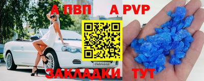 стафф Гай