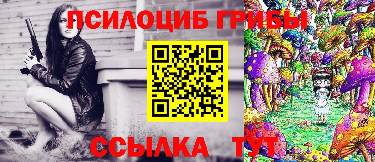 Псилоцибиновые грибы мицелий Нижний Новгород
