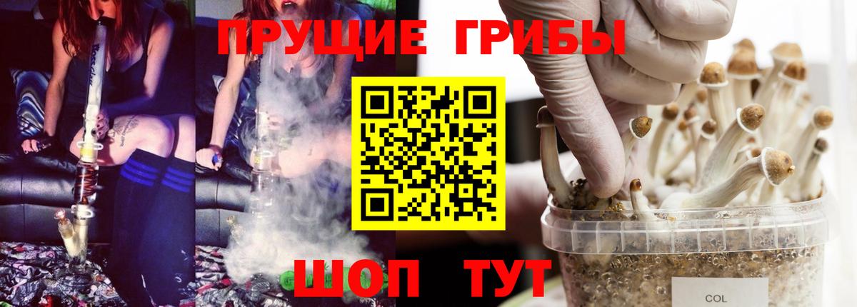 Псилоцибиновые грибы мухоморы  Вход с VPN  Галлюциногенные грибы мицелий  Нижний Новгород 